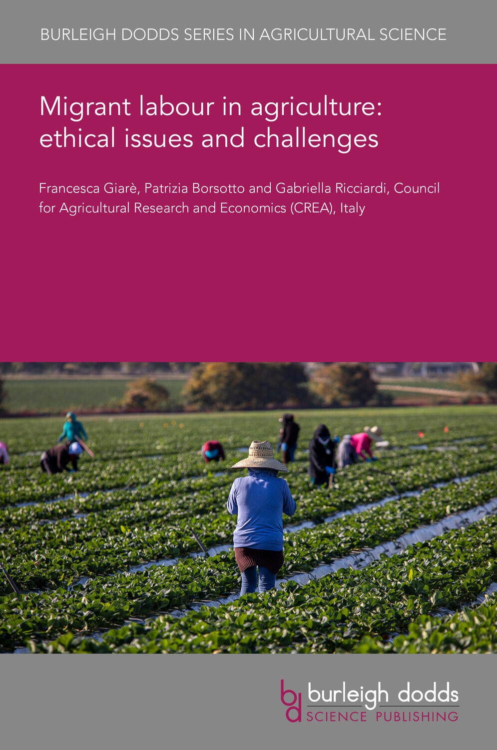 Book cover image for Migrant labour in agriculture: ethical issues and challenges ISBN: 9781801468916